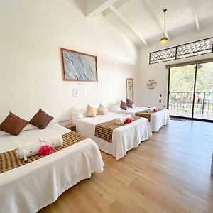 Apartamento Superior de 1 Dormitorio